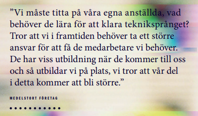 Citat från Teknikföretagens rapport om bristen på tekniker och ingenjörer med rätt kompetens