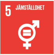 Jämställdhet är en av FN:s globala mål för hållbarhet.
