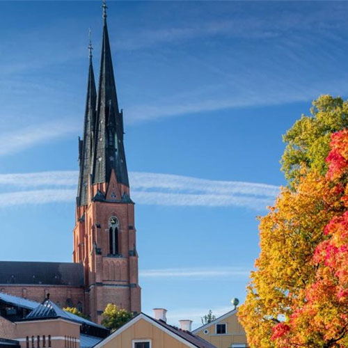 Hitta lediga jobb och konsultuppdrag i Uppsala via TNG