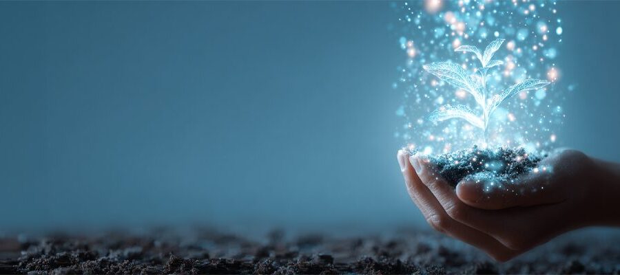 AI-kompetens symboliserad av händer med växt som strävar uppåt - TNG reder ut begreppet.