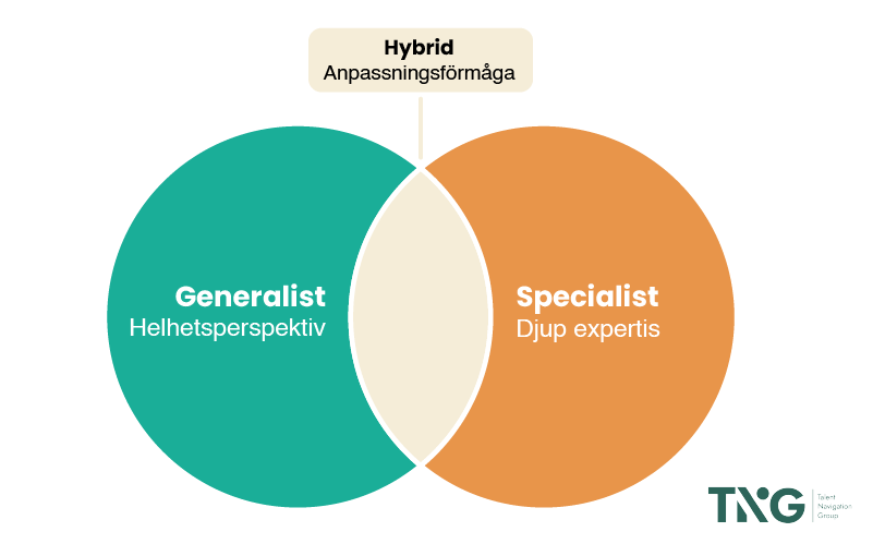 Modell över hybdridkonsulten 