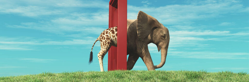 Har teamet fastnat? Lösning stavas nya perpsektiv!