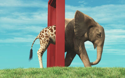 Har teamet fastnat? Lösning stavas nya perpsektiv!